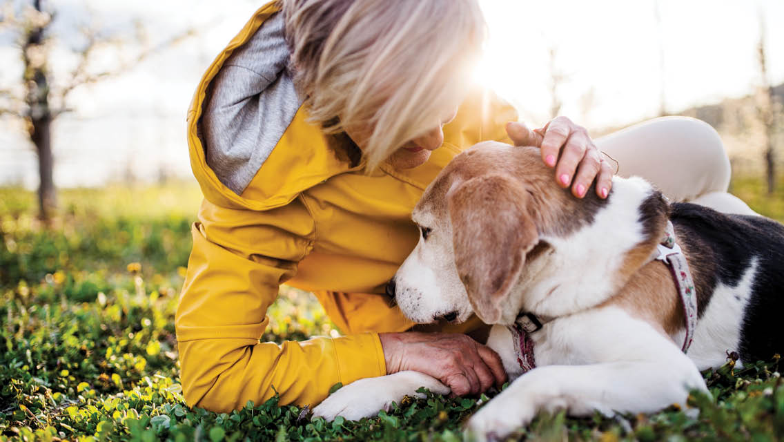 a woman cuddles her senior dog
