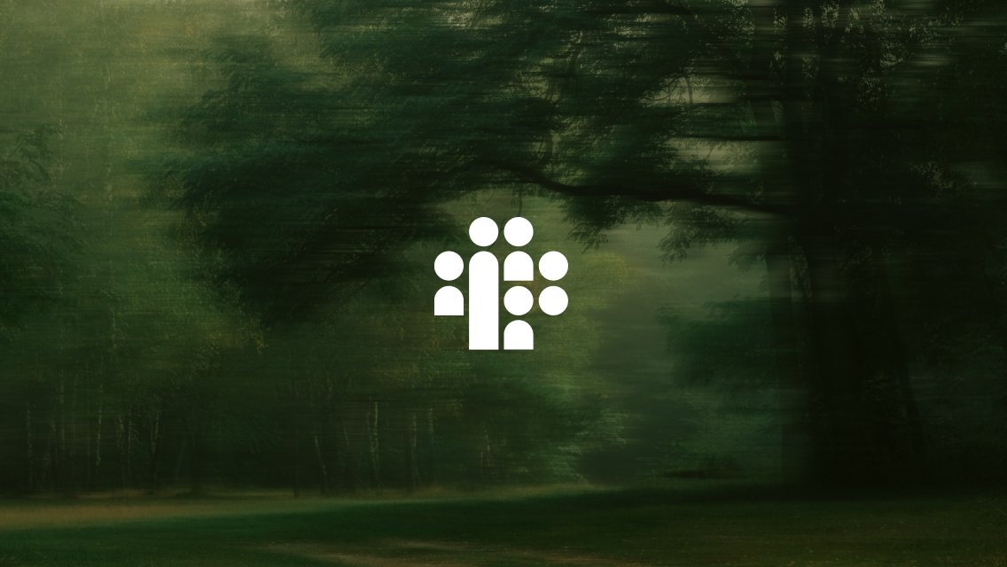 Life Time Foundation logo over forest background