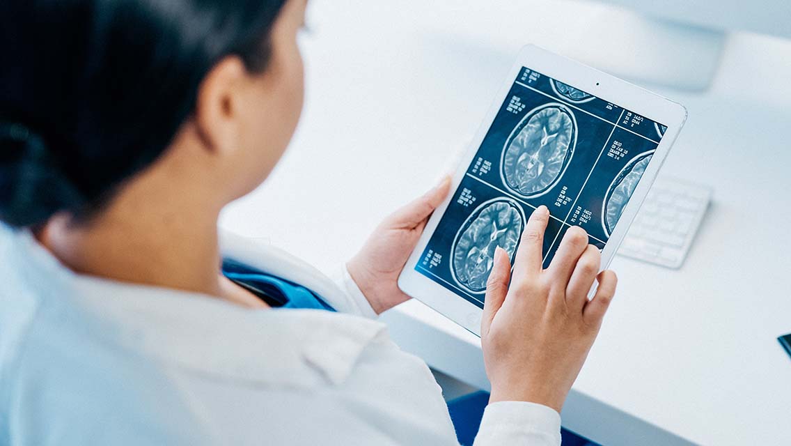 a scientist looks a brain scan.