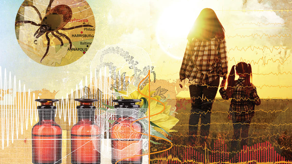 image compilation lyme disease