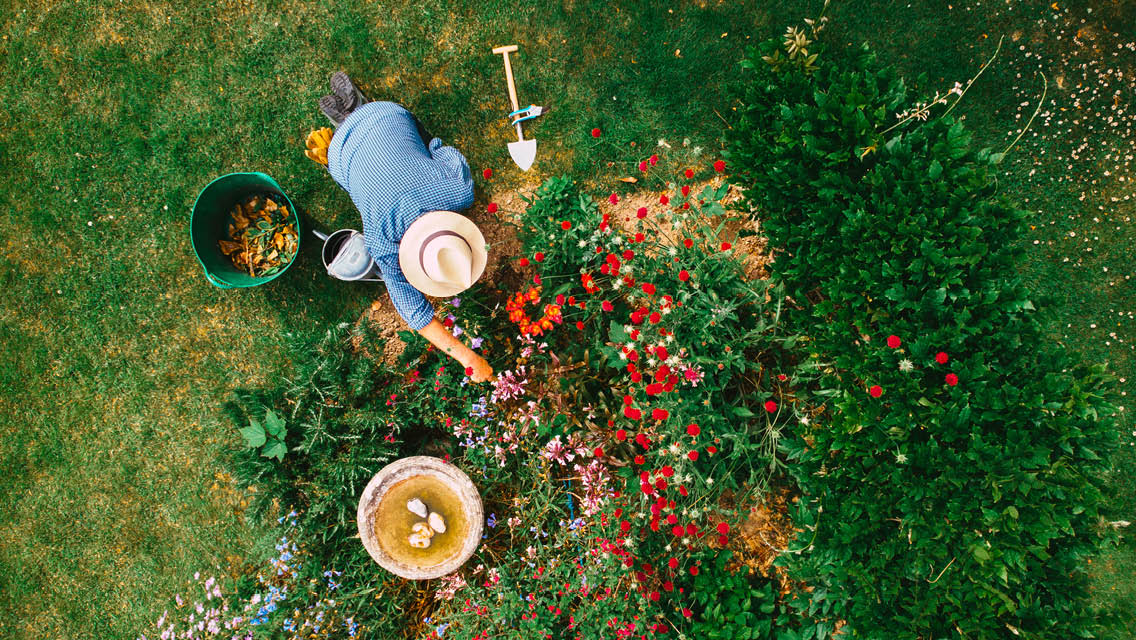 a birds eye view of a person gardening