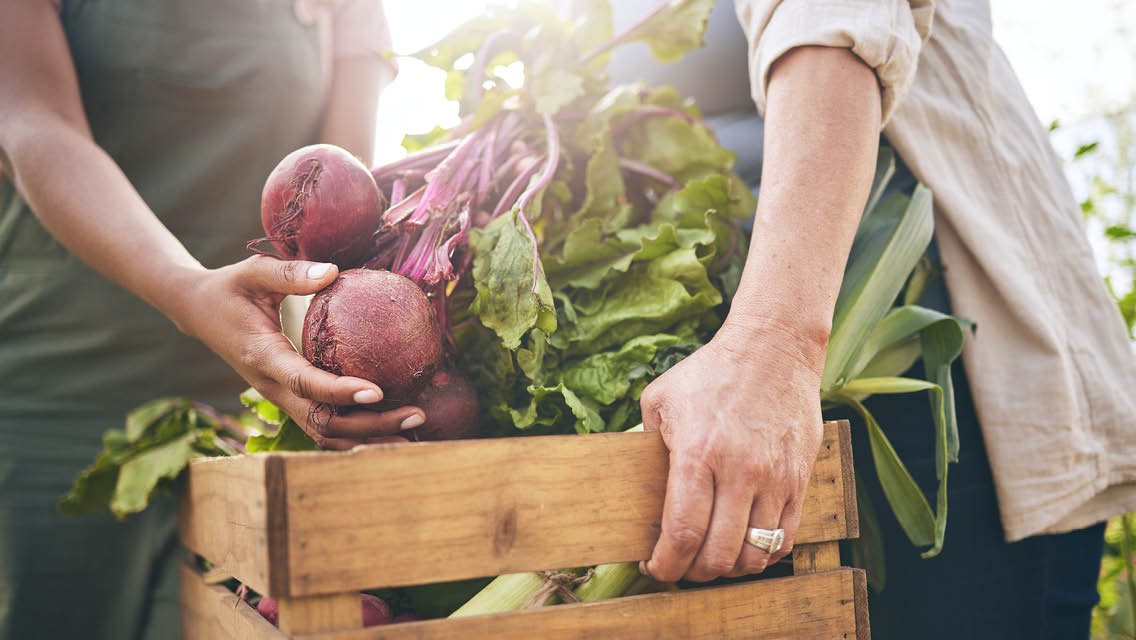 people carry beets in a wooden crate