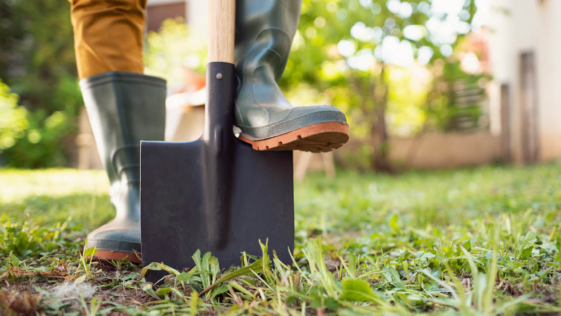 a foot pushes a shovel into the ground
