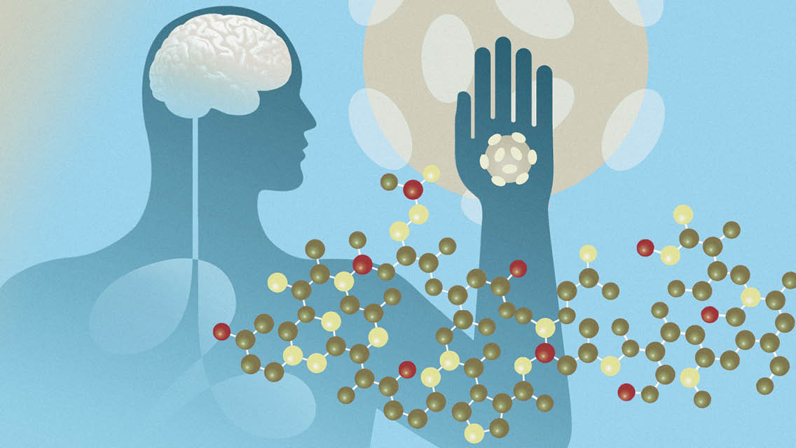 illustration of butyrate and its benefits
