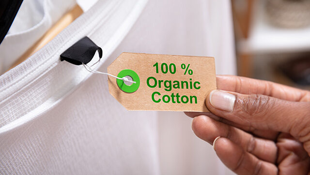 A person looks at a tag on a white t-shirt that reads '100 percent organic cotton'