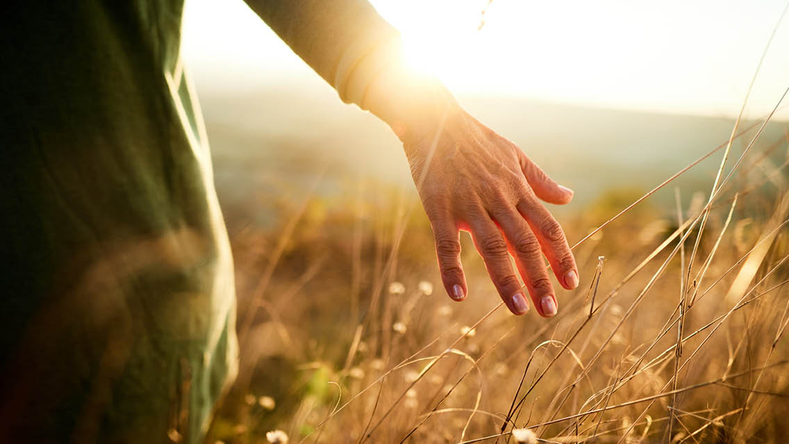 a woman walks through a field of wheat