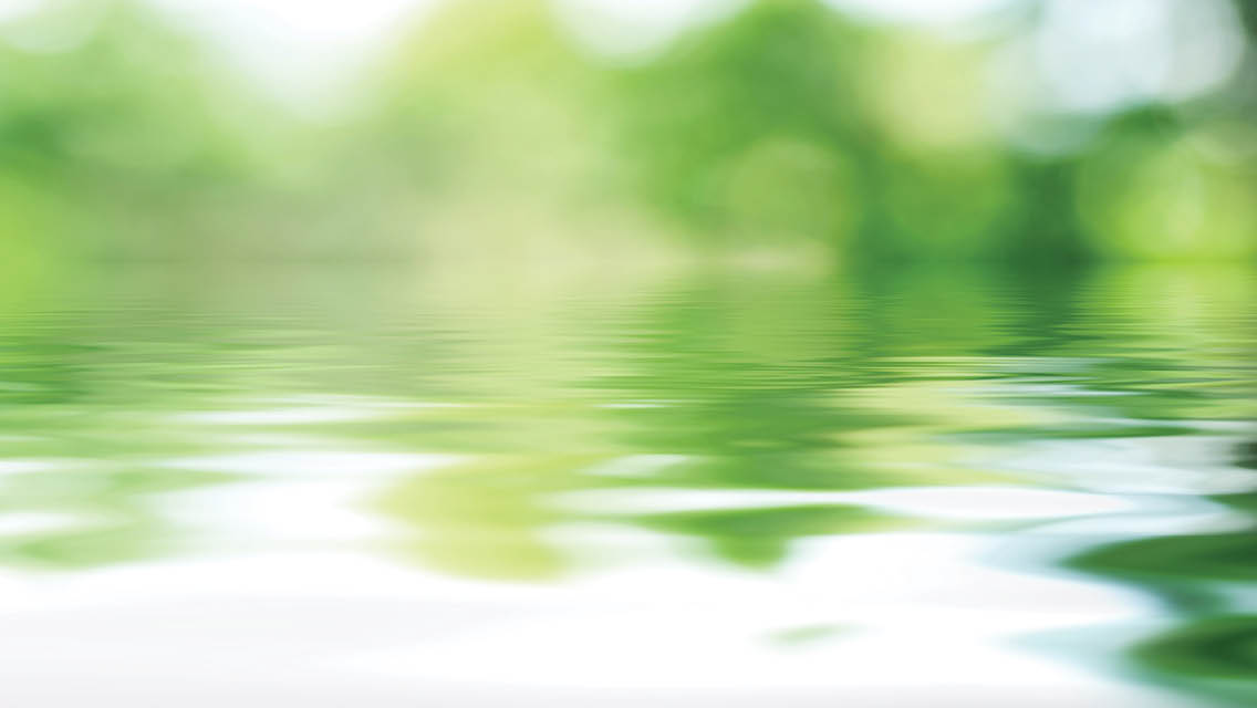 water reflecting with trees