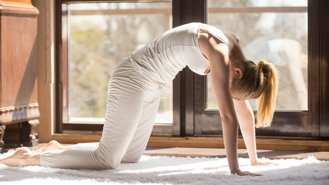 a woman performs cat pose